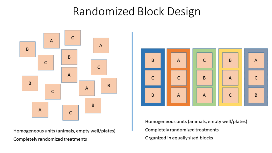 Block Design Example