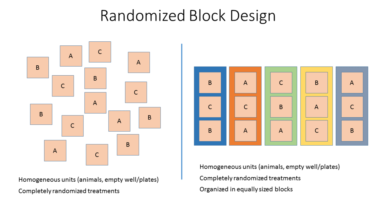 random assignment by block